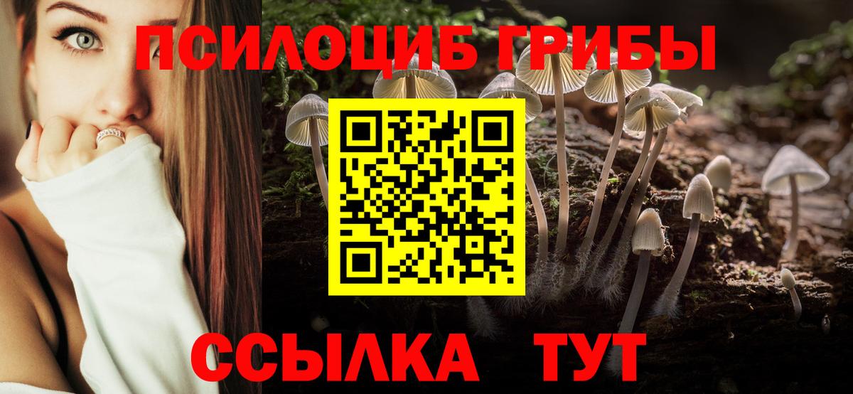 Галлюциногенные грибы прущие грибы Свободный
