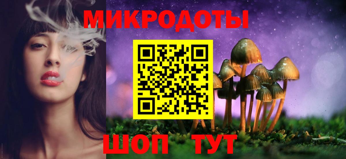 Свободный  Псилоцибиновые грибы Cubensis  Псилоцибиновые грибы мицелий  Вход с VPN 