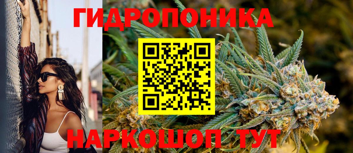 Каннабис MAZAR Свободный